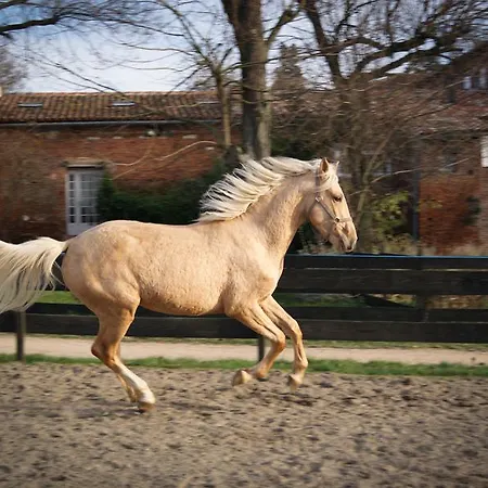 Chateau Des Varennes