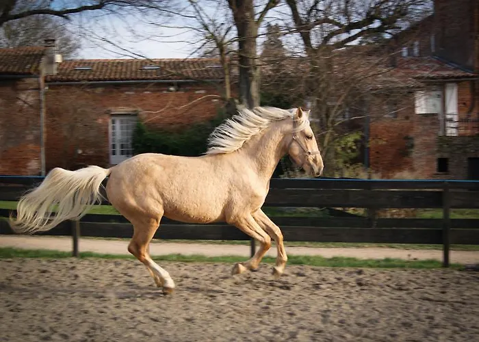 Chateau Des Varennes